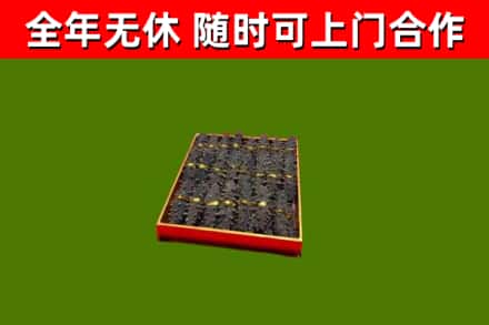 德宏回收海参
